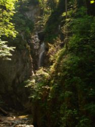 2013-07-20_Regina-F-Rau_Kochel-Rabenkopf (111).JPG